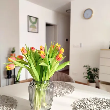 Sweet Dreams Apartament