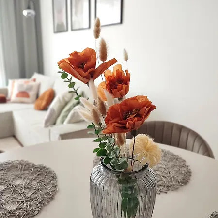 Apartment Sweet Dreams *