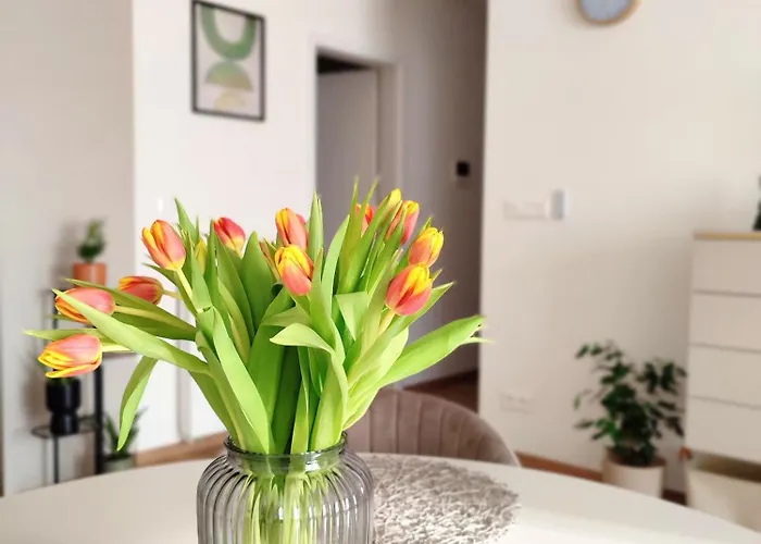 Sweet Dreams דירה